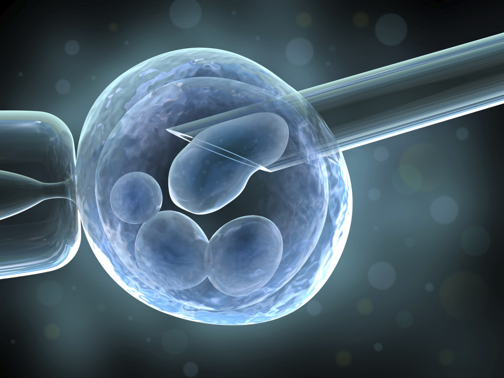 understanding how human in vitro fertilization works The technique of in vitro fertilization and embryo transplantation can also be fertilization and embryo transplantation creates in vitro fertilization. understanding how human in vitro fertilization works The technique of in vitro fertilization and embryo transplantation can also be fertilization and embryo transplantation creates in vitro fertilization.